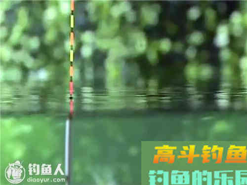 判断调钓是否正常的方法及应对技巧