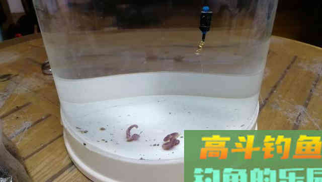 还在纠结怎么调漂吗？看老钓友全方位为你分析