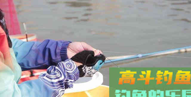 离底钓浮漂调钓之精髓，鱼情变化之反向验证手段