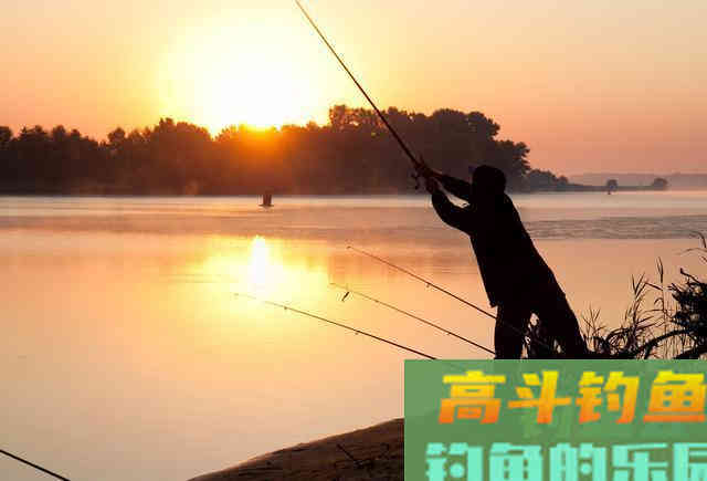 夏季浮漂调钓秘诀，解析五种情况的调钓方法