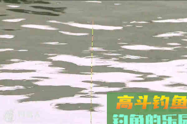 不同水情的浮漂调钓技巧分享