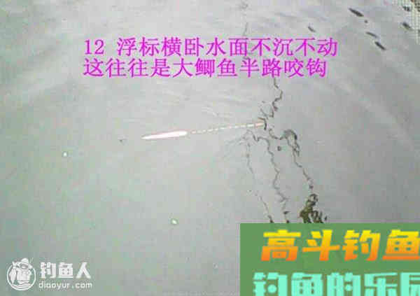图解鲫鱼的常见咬钩信号漂像