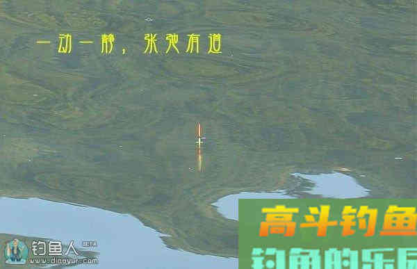 实战经验分享流水走漂应对方法