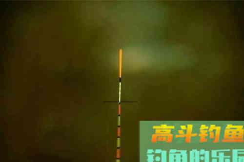 钓目选择钓高还是钓低呢？老钓友的答案