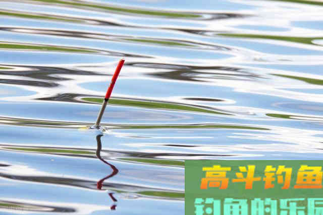 漂讯不精准，钓目总在变，这些是找底的坏习惯导致的