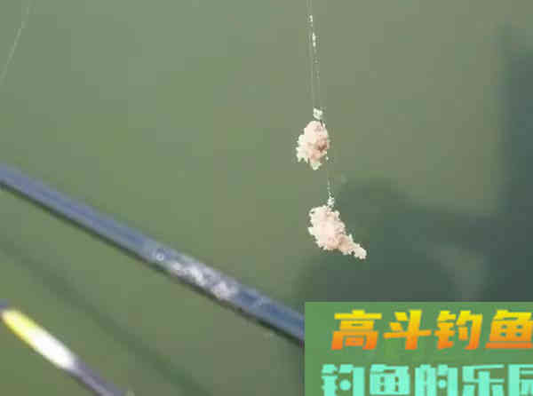 这几种常见的拉饵调漂思路，野钓黑坑都适合