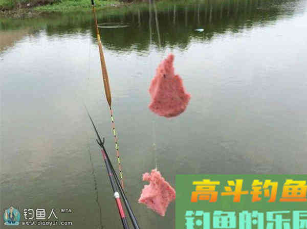 钩重和饵重对调漂的影响