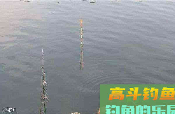 四种钓鱼看漂技巧