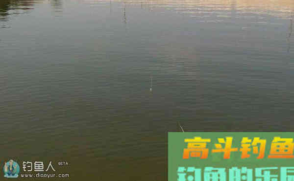 生口鱼浮漂信号弱大小漂的调钓问题