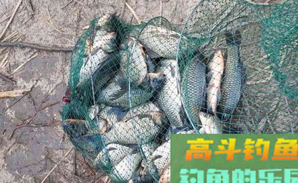 深秋钓鲫鱼饵料要使用轻饵，加上几种调漂方法更好