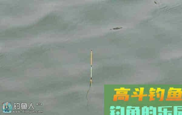 分析鱼咬钩吃饵时浮漂的漂相种类