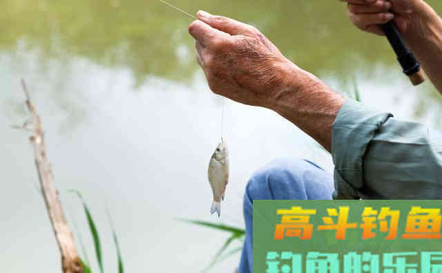 为什么你调钓之后钓不到鱼？老钓友教你如何判断