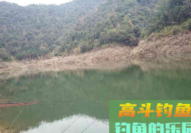 冬季钓小鱼，细钩细线细漂浮底钓法