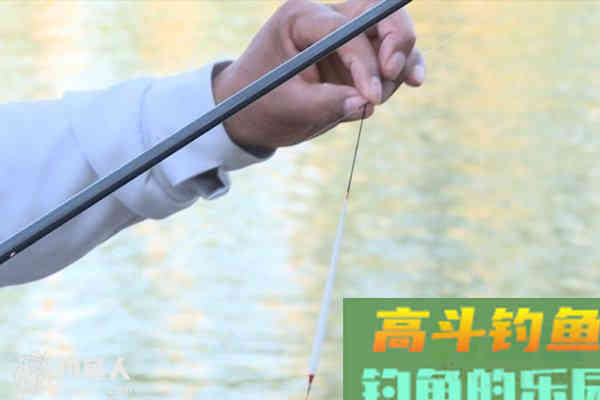 常见鱼情水情的浮漂调钓技巧
