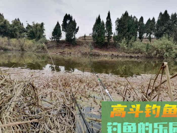 野钓，调平水，还是调几钓几好？待家研究钓