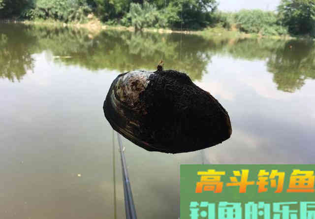 野钓最常见的几种调钓方式，不用为调几钓几发愁