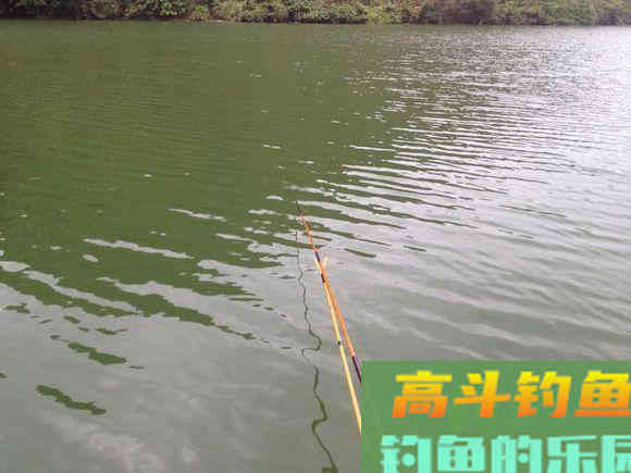 干扰浮漂信号“灵”与“钝”的因素有哪些