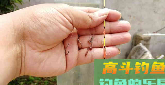 想知道钩饵在水底是什么状态吗