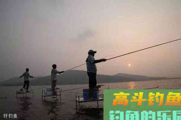以调四钓二为例，掌握饵在水下的状态