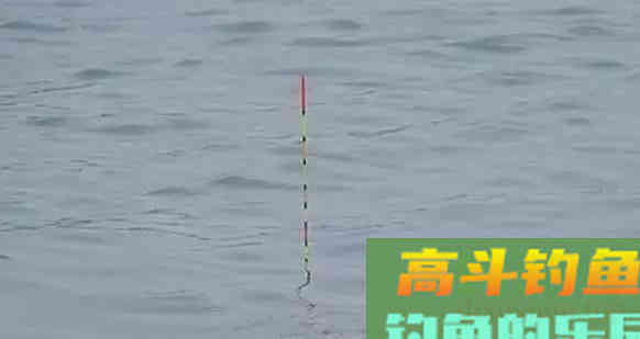 调漂，到底调的是什么