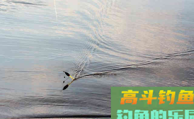 鱼口弱、浮漂顿感不强烈，换一只大漂