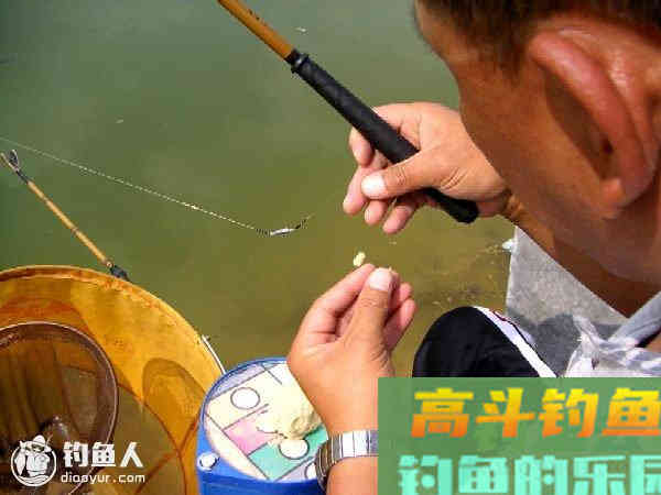 野钓技巧之精确找底的调漂法
