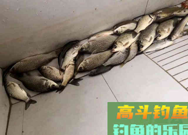 冬季野钓必须要明白的三个用漂方法