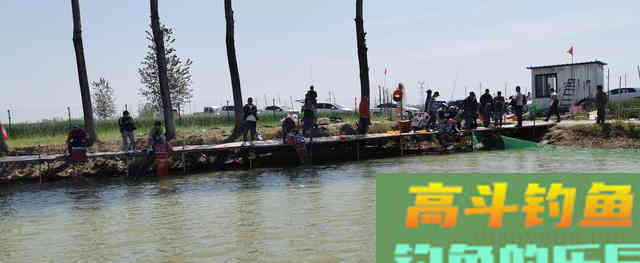 钓鱼调漂到底重不重要？程宁大师，网红钓友，谁对谁错