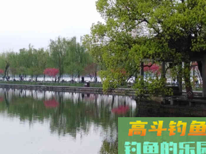 闲谈下野钓调漂的问题