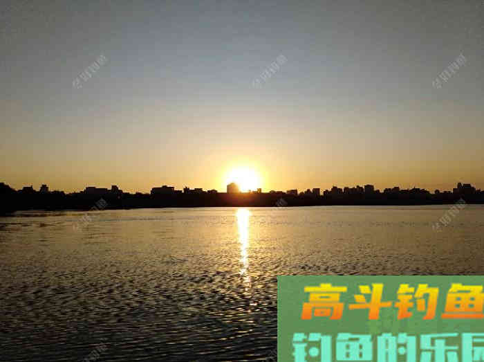 浮漂性能与调钓技巧，调好漂是爆护最关键一步