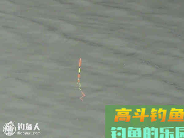 静态浮钓时浮漂下顿空竿的原因及解决方法