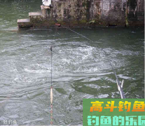 浮漂的高低钓法以及钓目的确定原则，你都知道吗？