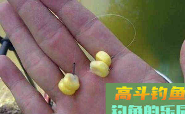 钓鱼调漂：都是调几钓几，双饵状态一样吗