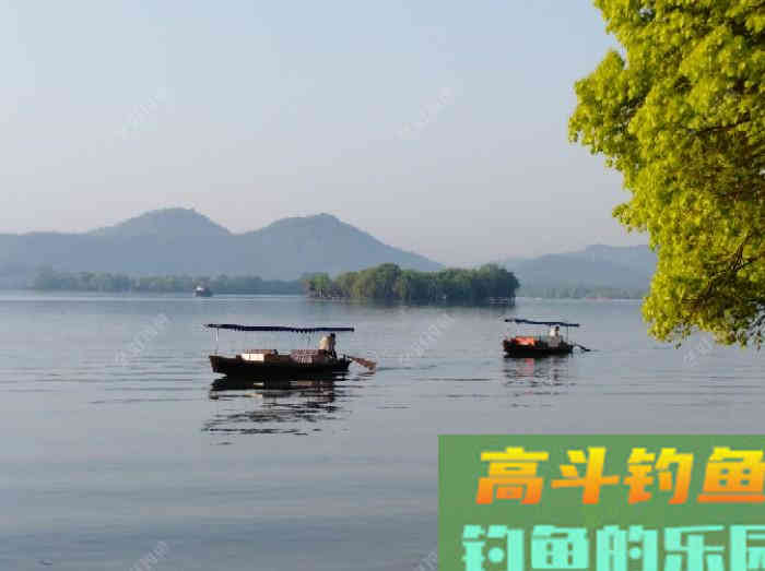 闲谈下野钓调漂的问题