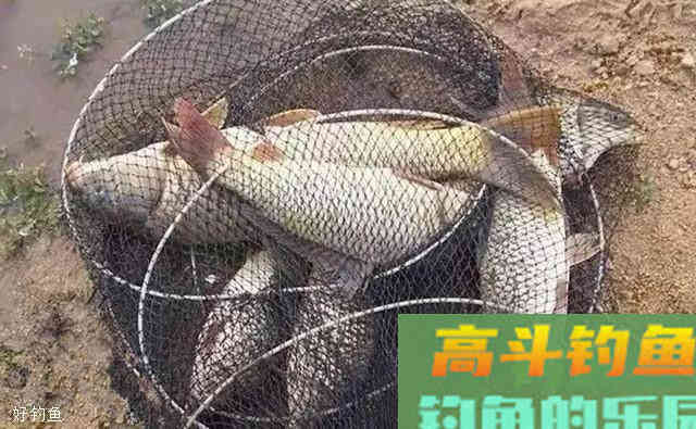 调钓精髓，你真的懂吗？