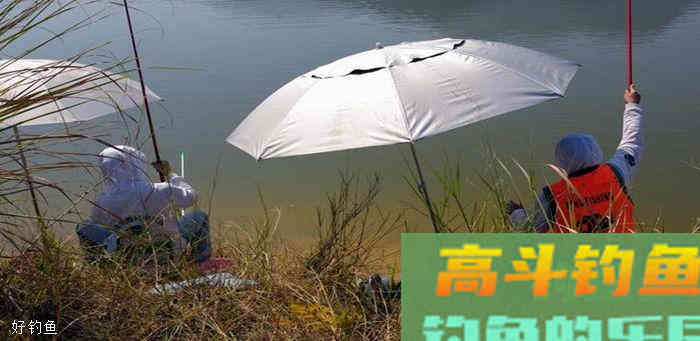 手竿调漂把握住，这7点，提竿必中鱼