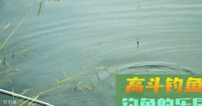 冬季钓鲫鱼应该如何正确地调漂