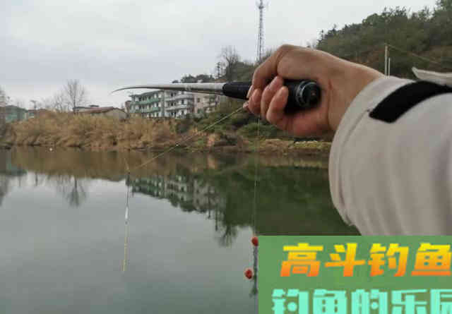钓鱼找底有多重要？并非全为调漂