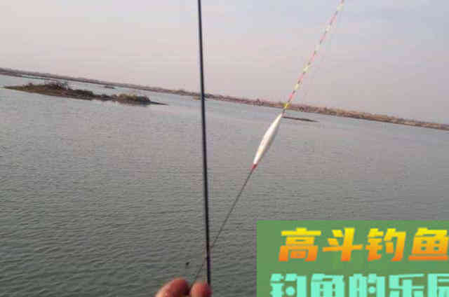 直接黑漂都不中鱼？按我这样调整