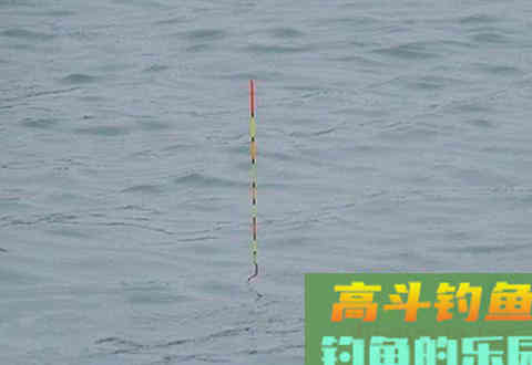 野钓调漂调平水有那些好处？