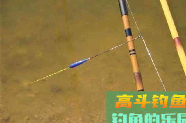 台钓调漂按我这种调法,每抓一次鱼口都很准 台钓调漂按我这种调法,每抓一次鱼口都很准