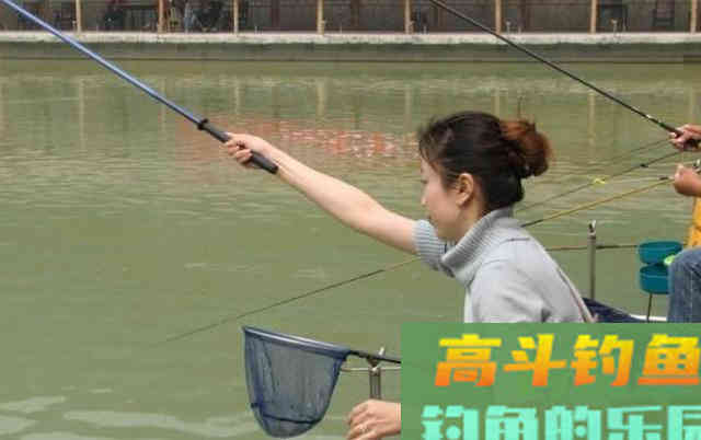 垂钓中，浮漂灵与钝的转化