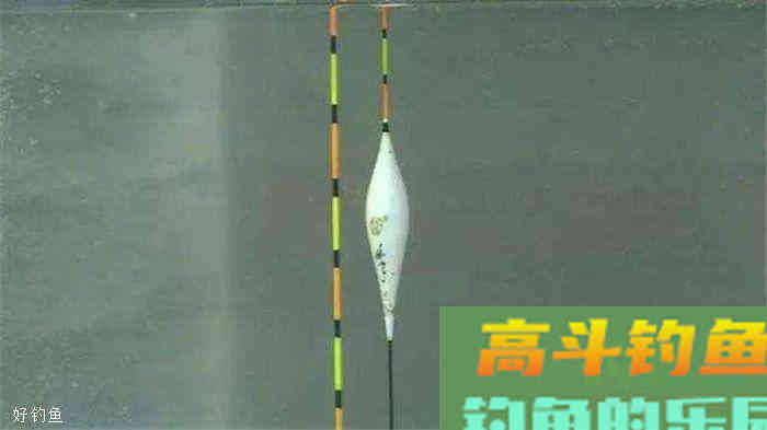 钓鱼怎么调漂和找底，这四个步骤让你一目了然