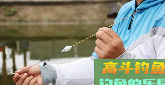 钓友们听说过口动漂、体动漂吗