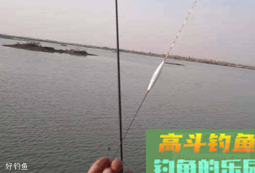 冬季钓鲫鱼怎么调漂？