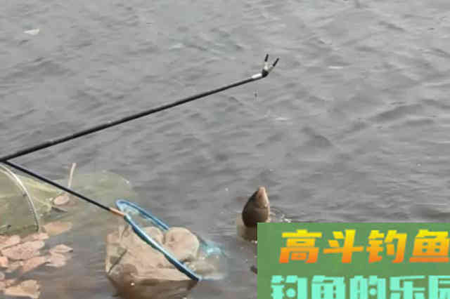 冬钓用漂，我只要牢牢记住三步