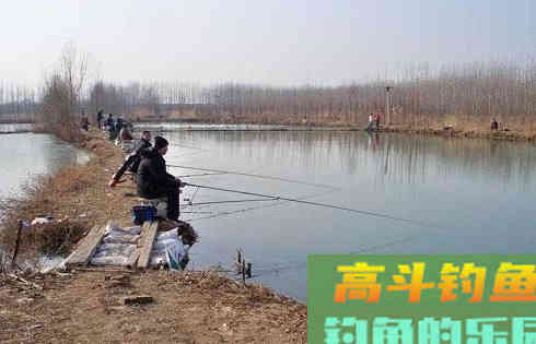 调漂要根据实际鱼情的变化来调整