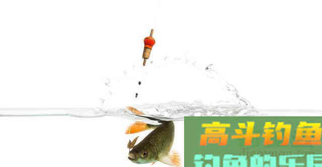 风浪中钓鱼，只要这样调整，就没事