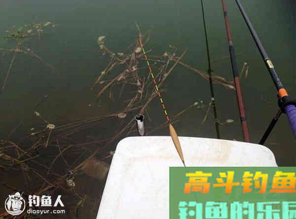 杂谈浮漂涨标不涨目与自动涨目因素