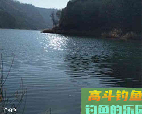 野钓带饵调漂最实用，老钓友野钓带饵调漂技巧